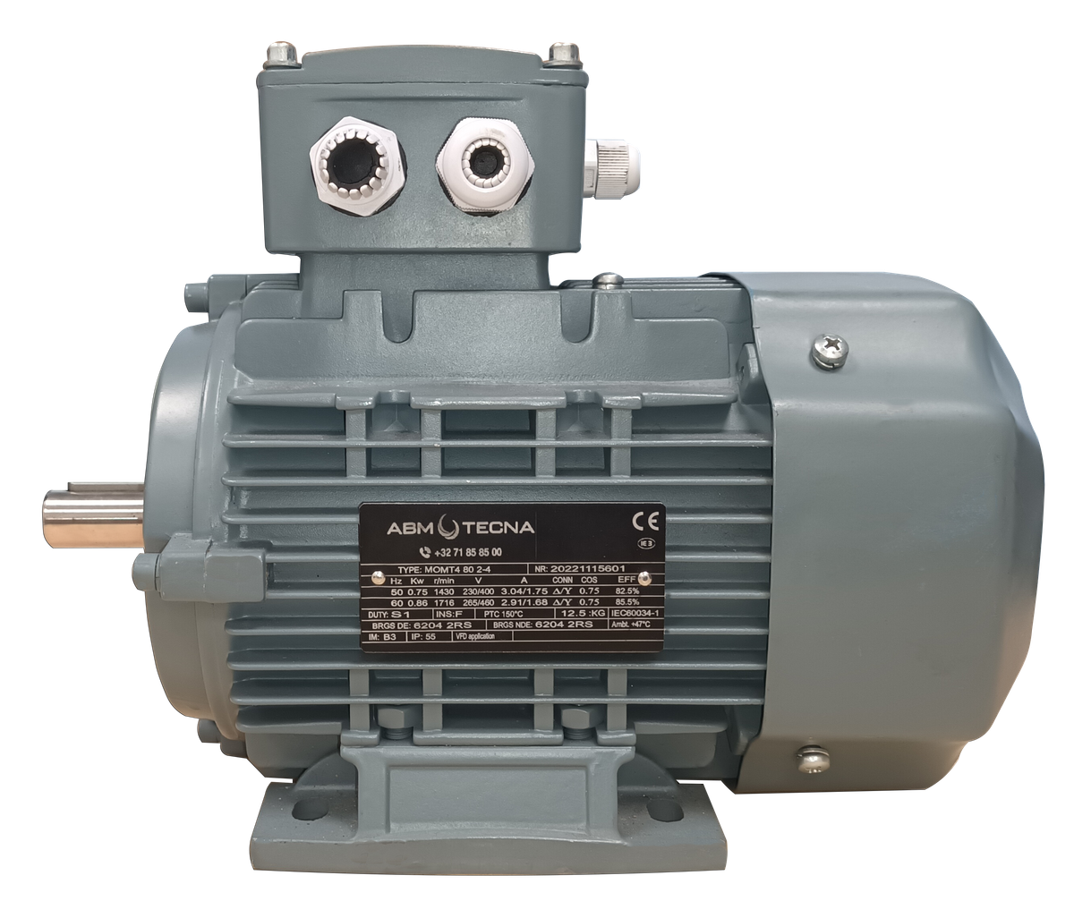 Moteur ABM-TECNA MOMT4 (IE3 ou IE2)