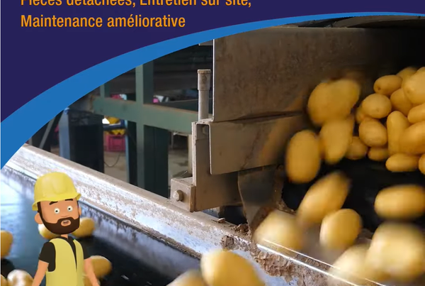 Pommes de terre tombant d'un convoyeur à bande, texte « La solution globale autour du convoyage »