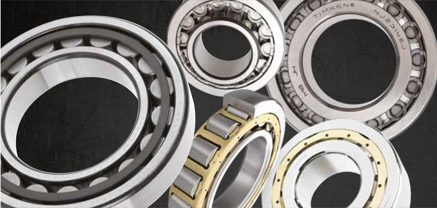 Protégé : Roulements à rouleaux cylindriques série N… avec une cage polymère